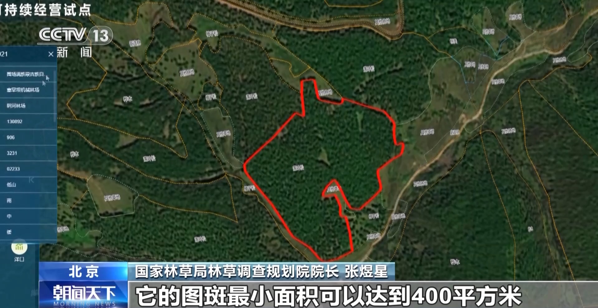 张煜星:图斑是森林资源管理的最小单元,在遥感影像上表现不同植物类型