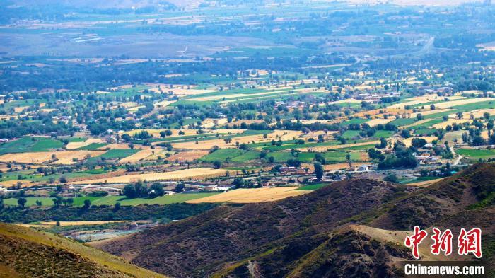 天山脚下小山村何以成为远近闻名的画家村