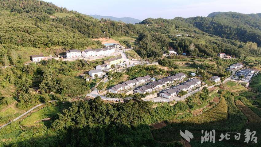 郧阳区谭家湾正河村大户带小户辣出致富路