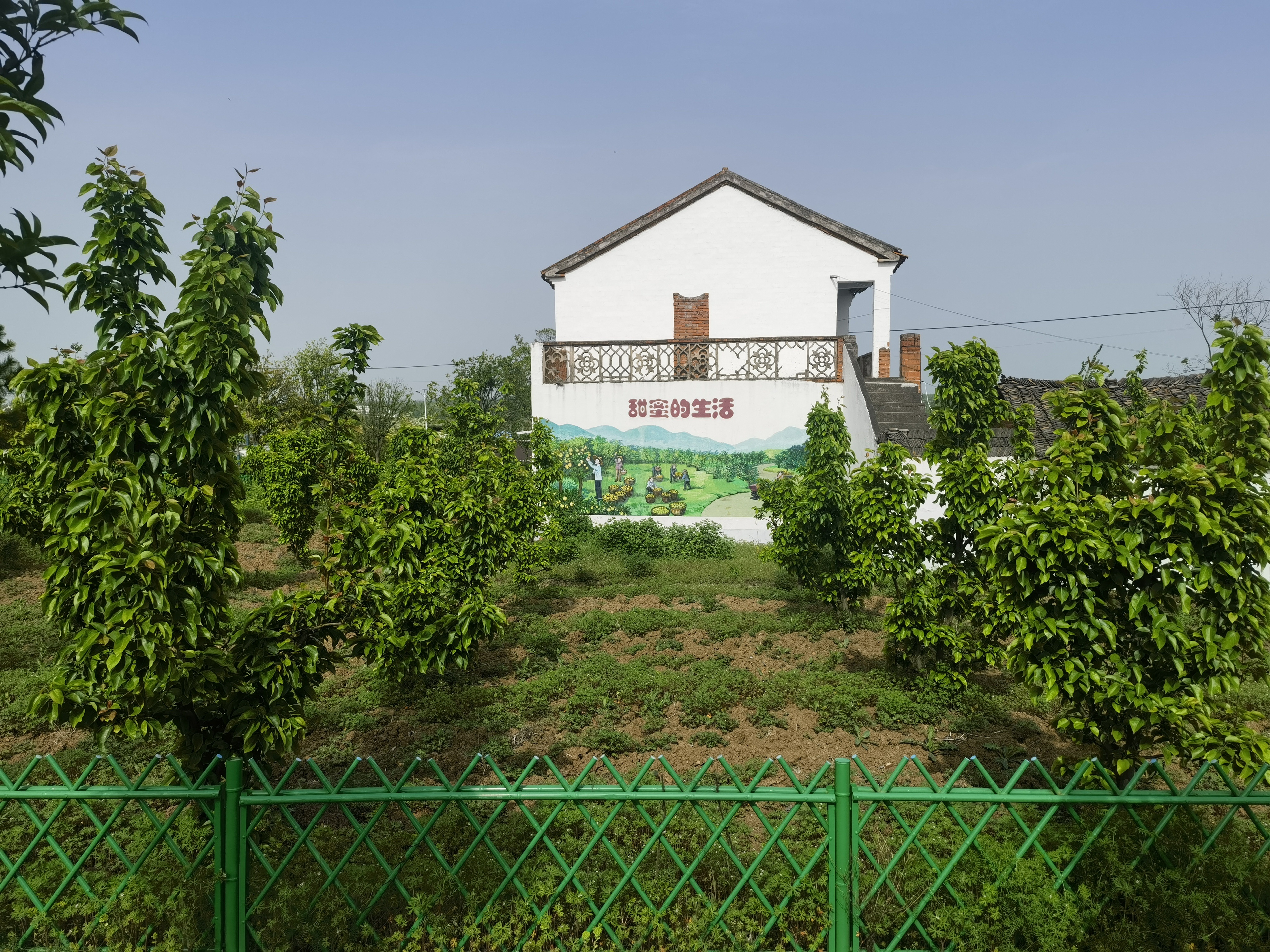 枣阳市王城镇长冲村精准发力出实招多措并举谋发展