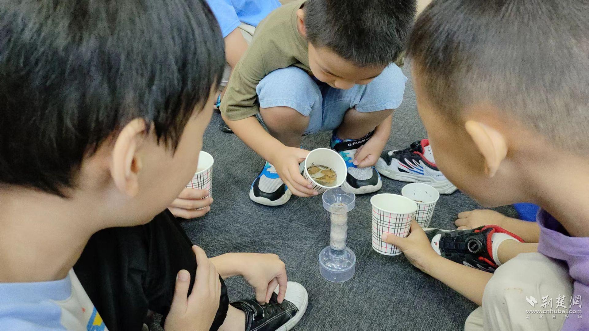 武昌区白沙洲街道:青少年争当小小水质检测员