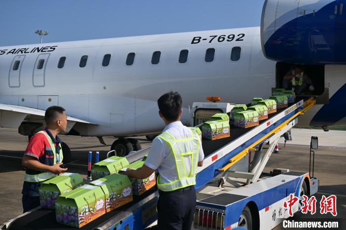重庆黔江脆红李水果航空专线启动
