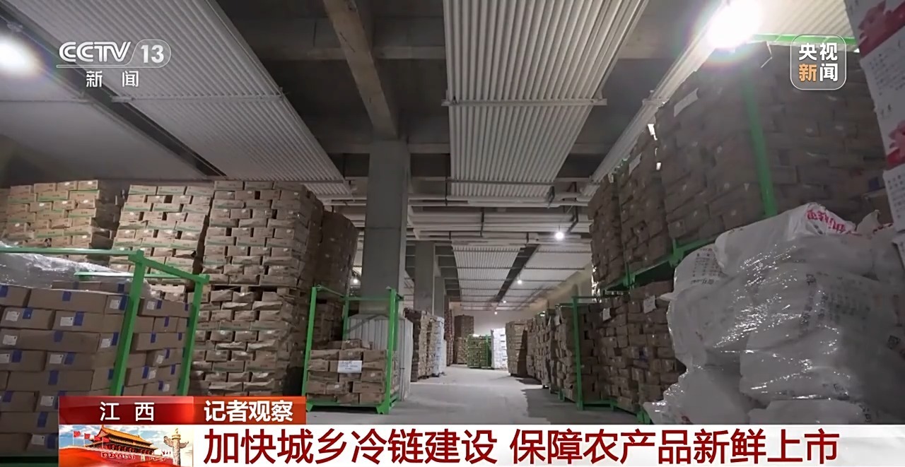 传统美食的新生机：豆腐干批发市场的现状与展望