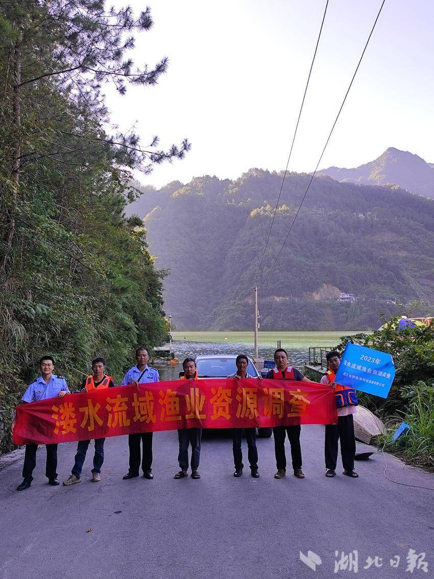 生物多样性调查图片