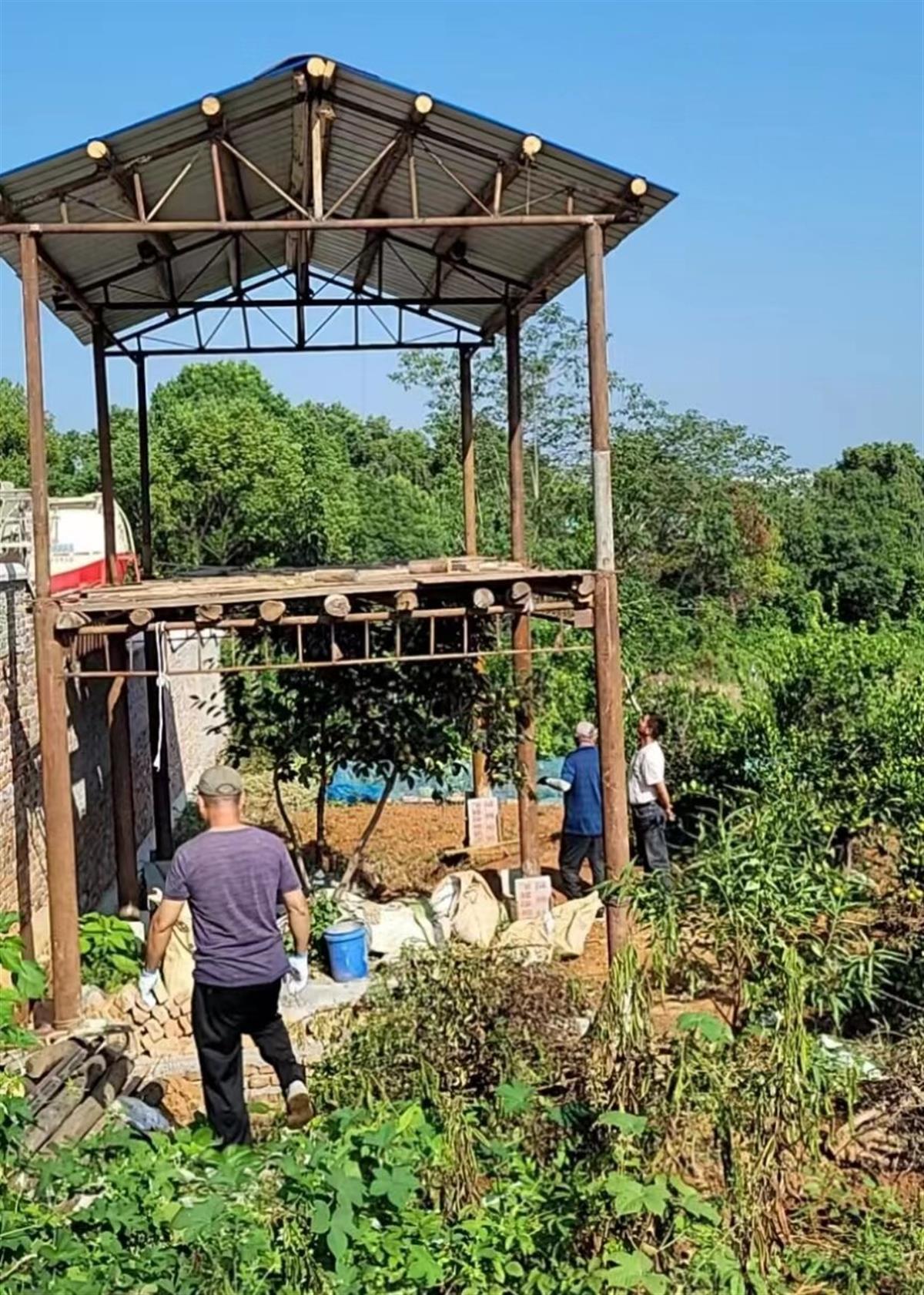 黄陂区滠口街道书记图片