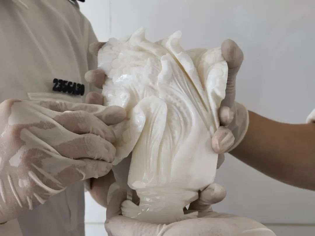 查获一颗大白菜原来是砗磲