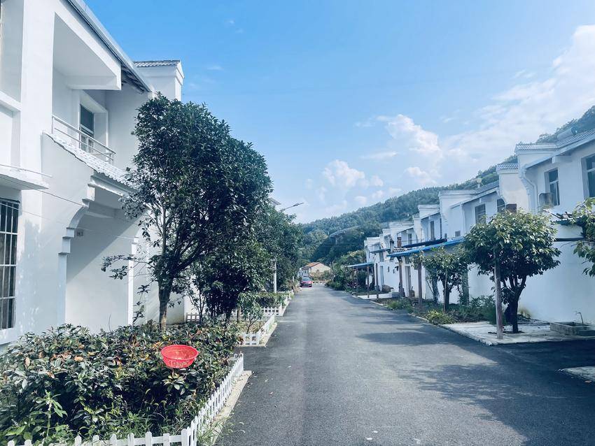 丹江口龙山镇环境保护人大代表在行动