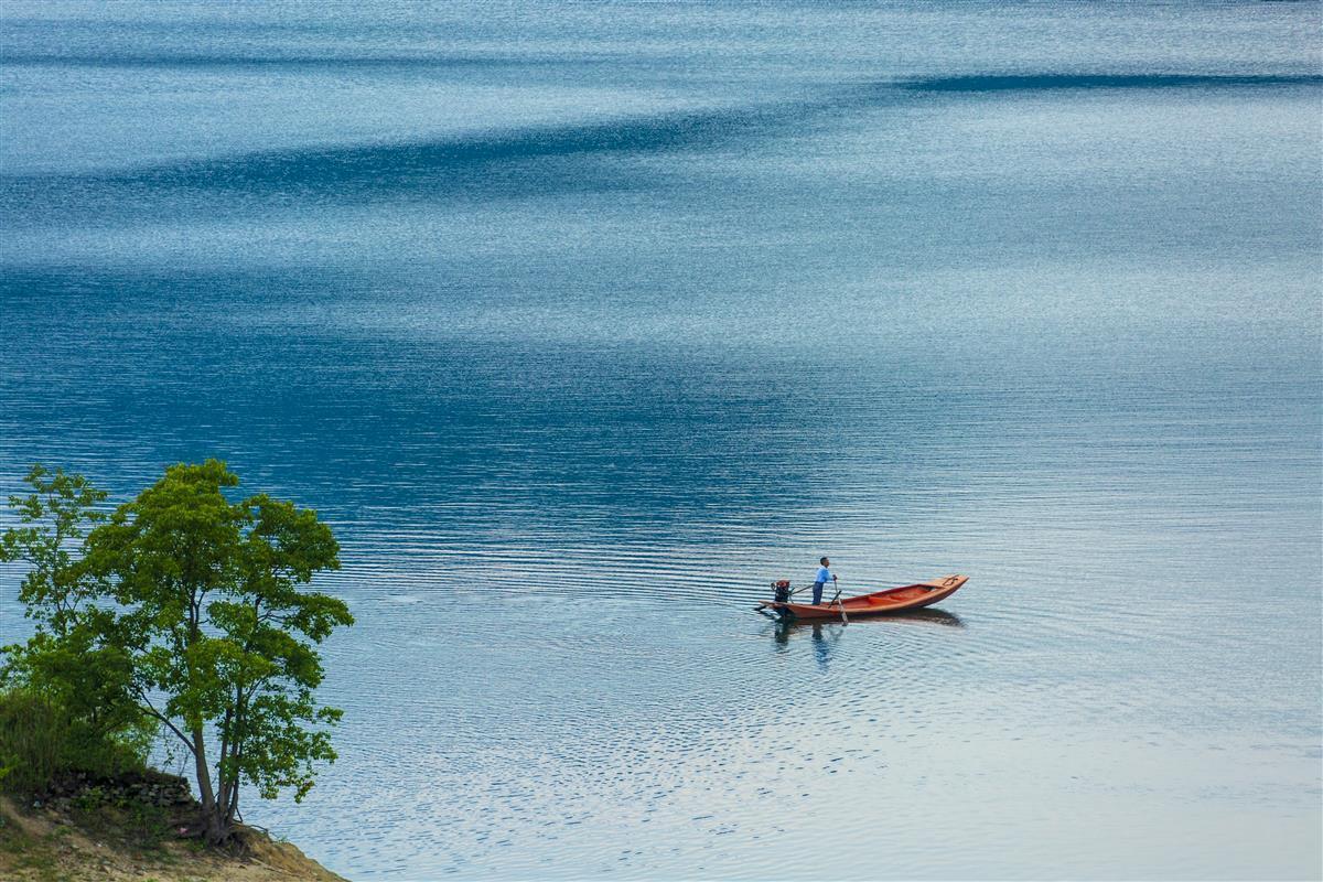 "生态湿地最美白莲"摄影赛作品展在黄州举行-荆楚网-湖北日报网