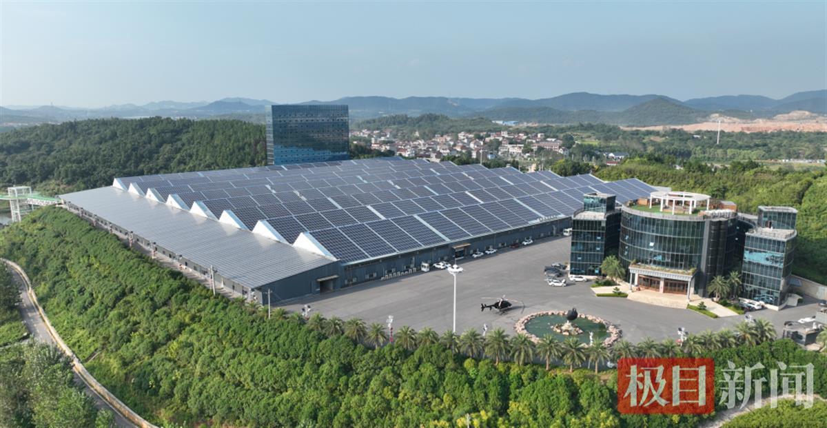 省重点项目跑出加速度中国民企500强运鸿总部明年启用