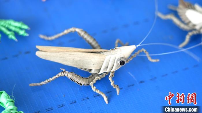 河北武邑草编艺人野生动物园里编织惟妙惟肖动物世界