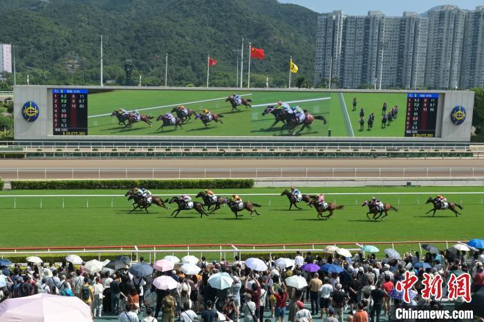 商报香港赛马资料图片