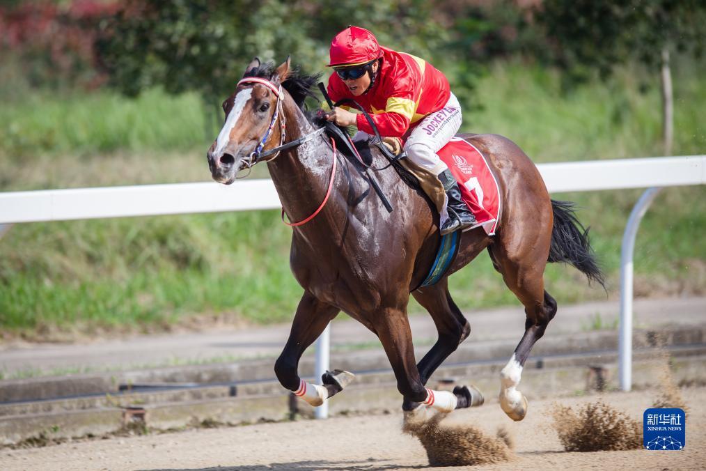 2023年中国速度赛马公开赛决赛赛况