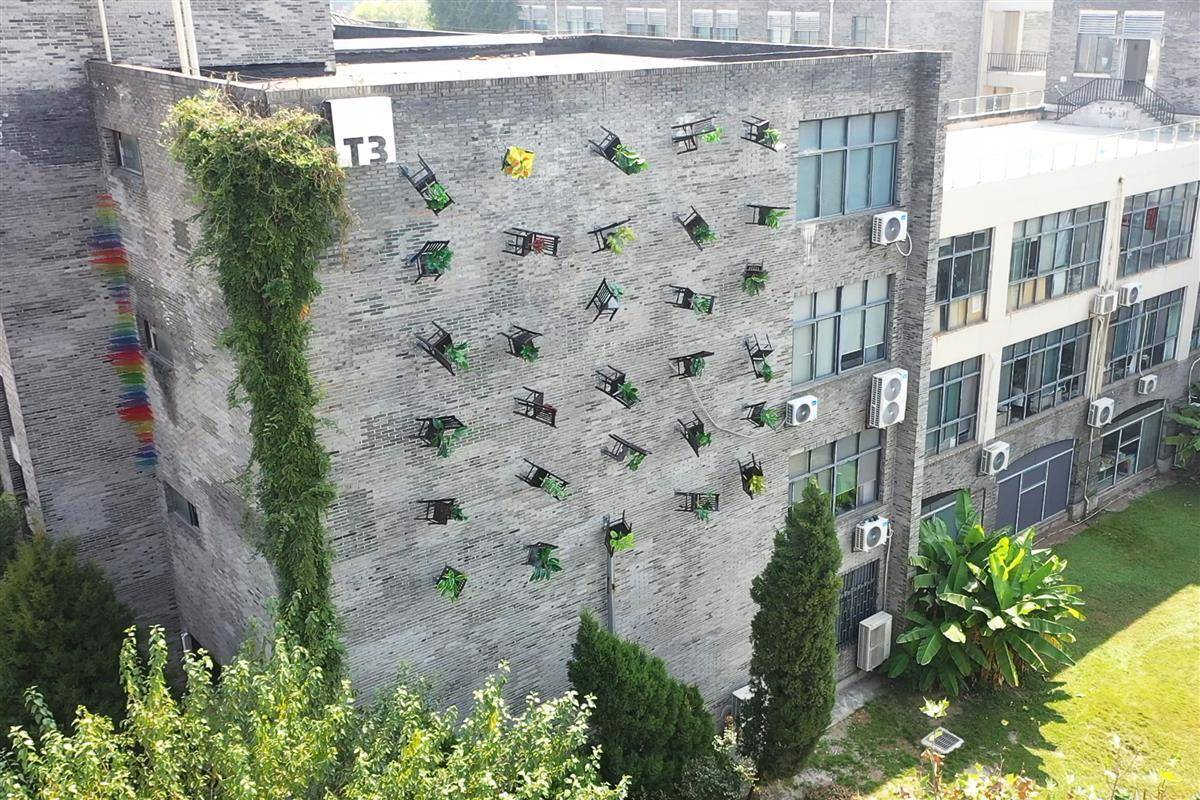 漫步武设校园体验公共艺术之美