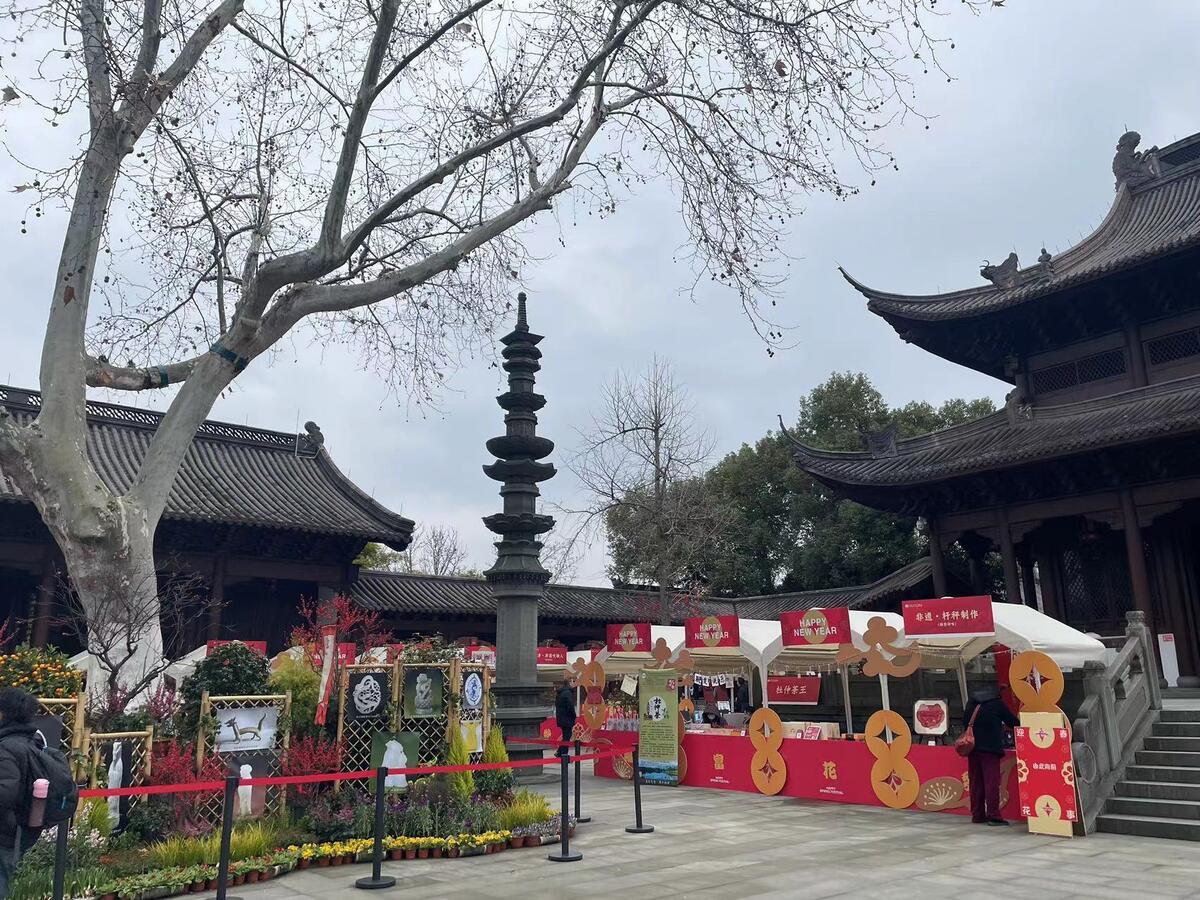 快來錢王祠看繁花一年一度的西湖迎春花展今日開啟