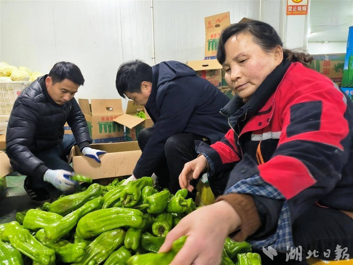 武汉批发采购