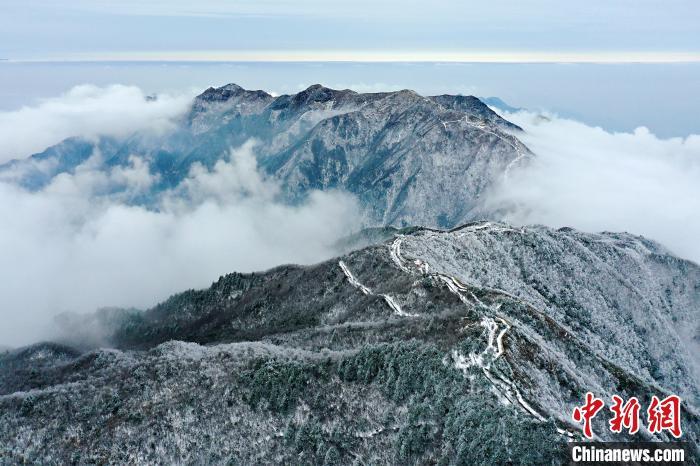 新春走基层浙江龙游六春湖雾凇景观美如画