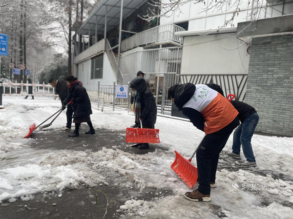 以雪为令杨园街道动员多方力量清雪除冰守护安全