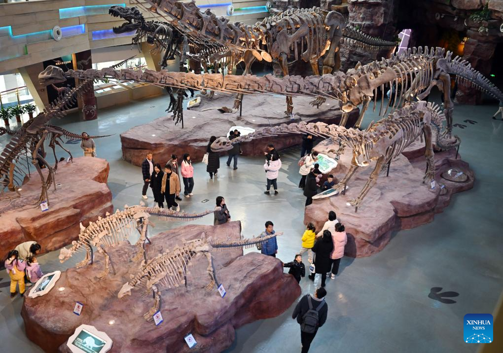 chinesepeoplespendspringfestivalholidayindiversifiedways