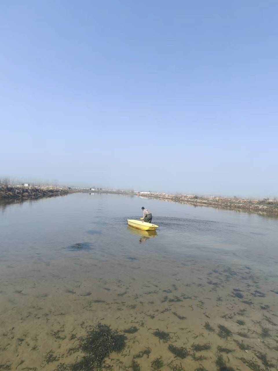 新春走基层家乡门前这条河丨重见清水入虾田