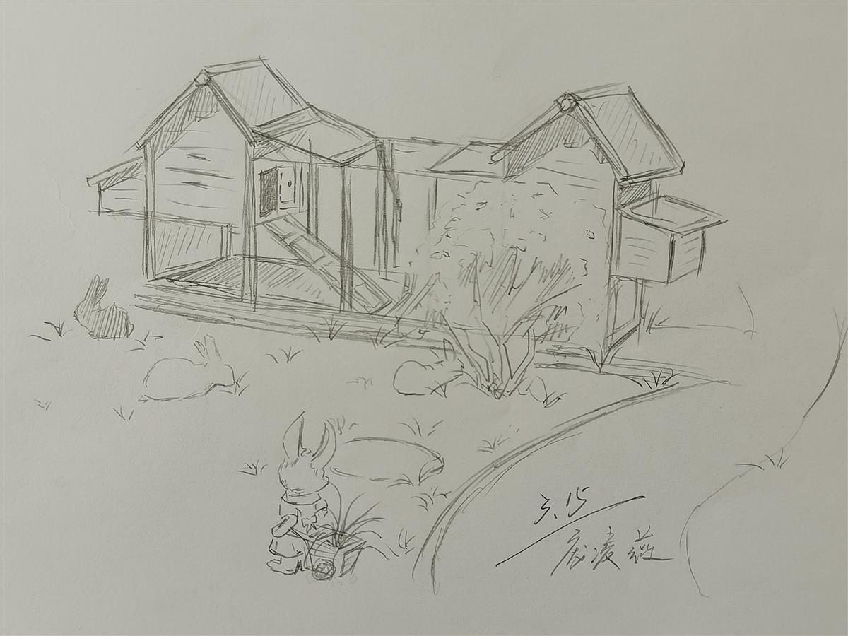 美术社团学生为小兔作画"目前周末时间是动物管理的空白期,我们正计划