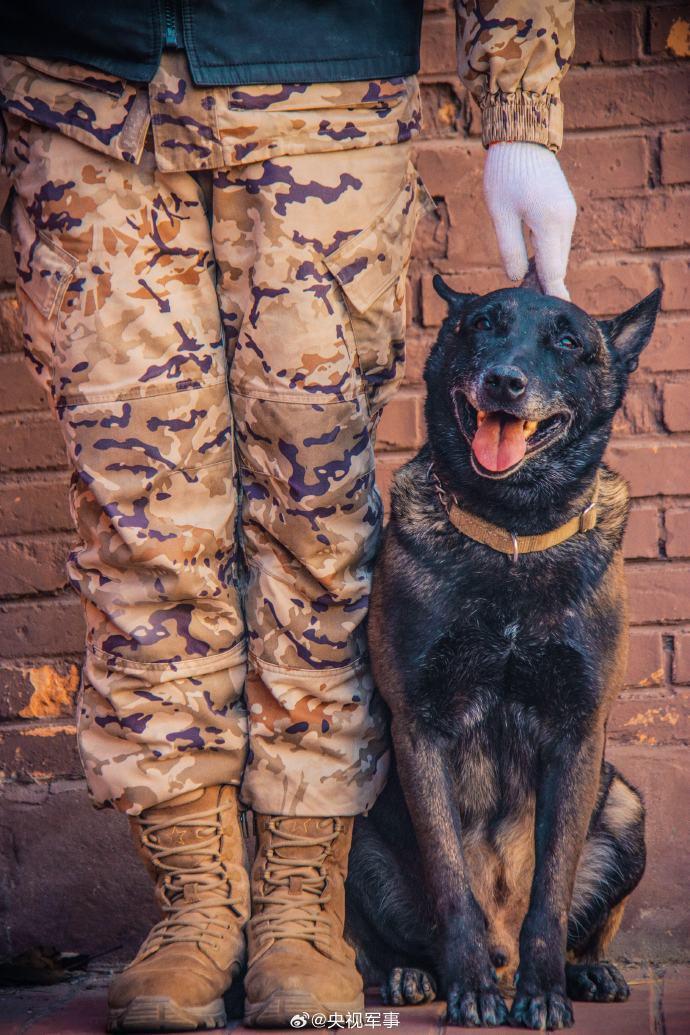 武警广州警犬基地政委图片