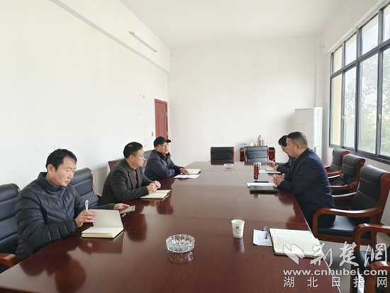 黄石市应急管理局党组书记,局长吴大洪调研指导乡村振