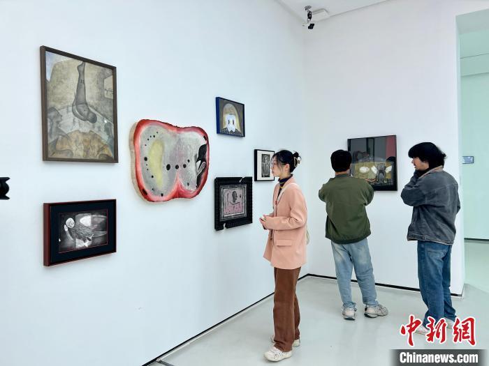 四川美术学院办本科生年展215件作品展青年艺术风采