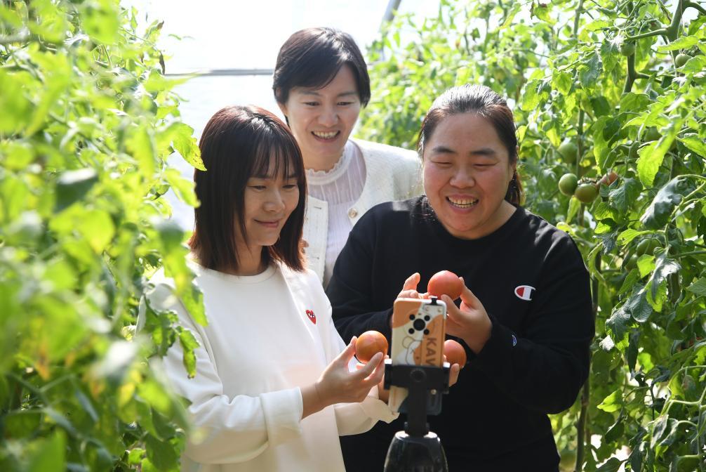 2月29日,岳巧云(中)在北京市平谷区东高村镇现代农业产业园直播带货.