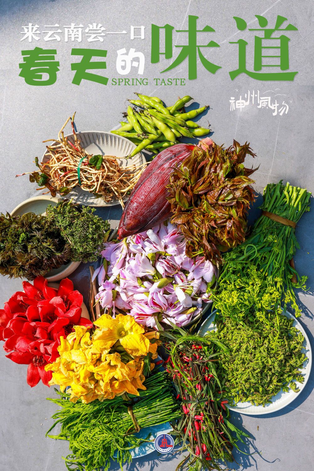 神州风物丨来云南尝一口春天的味道