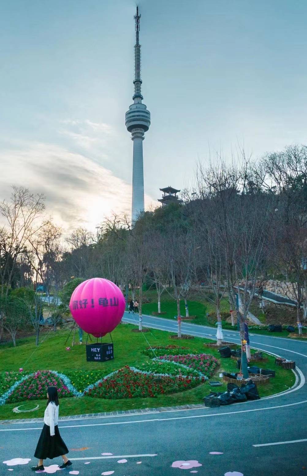 樱你而来看武汉如何把一朵花玩出新花样