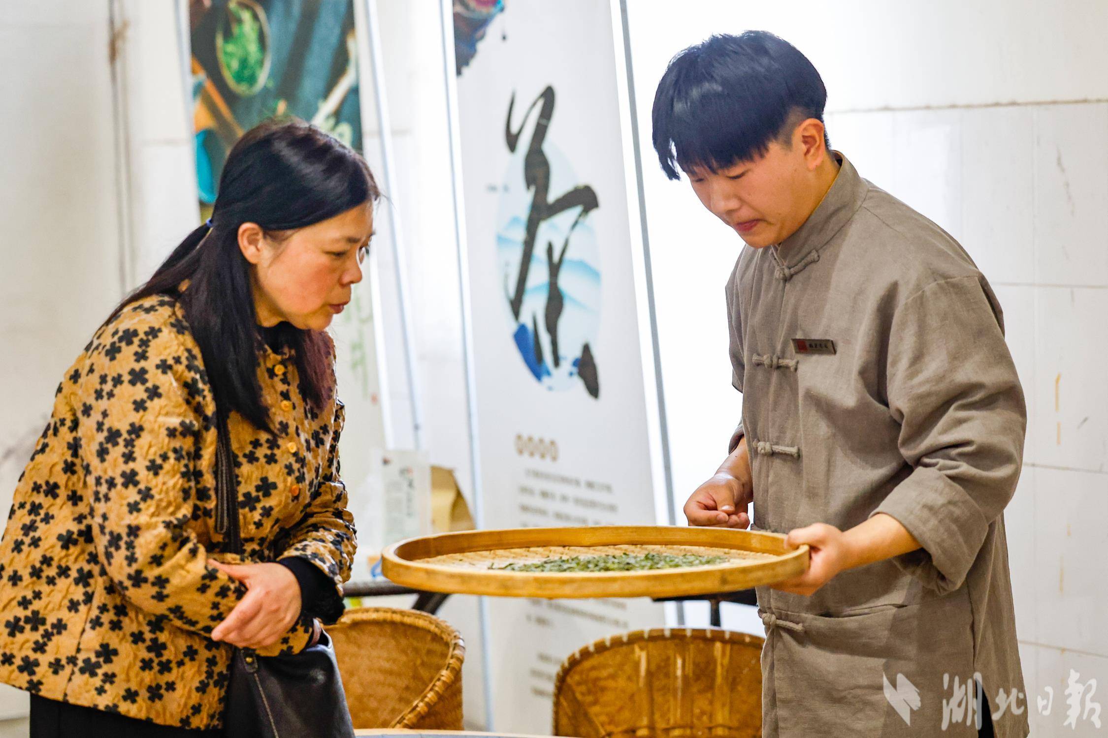 武汉东西湖柏泉茶园春茶开采