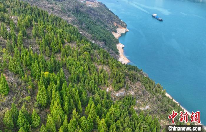 绿化长江北大校友十四年植树蔚然成林