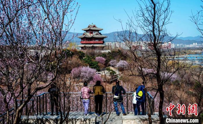 尽情趣寻春北京园博园第二届国潮嘉年华启幕