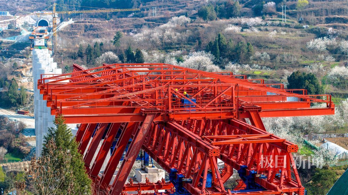 建设中的西十高铁穿越樱桃花海