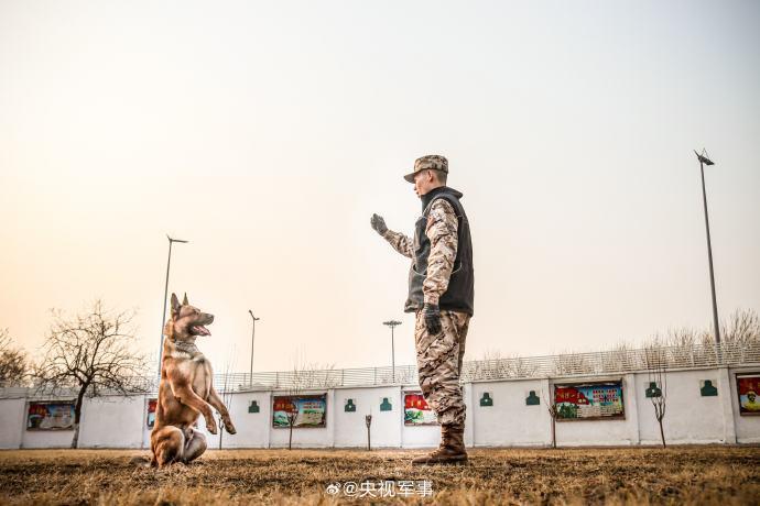 武警广州警犬基地政委图片