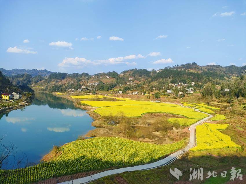 咸丰:寻唐崖美景 赏油菜花开-荆楚网-湖北日报网