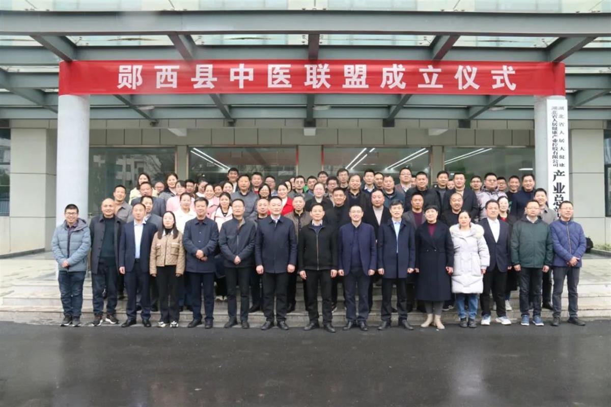 助推中医药高质量发展郧西县成立中医专科联盟