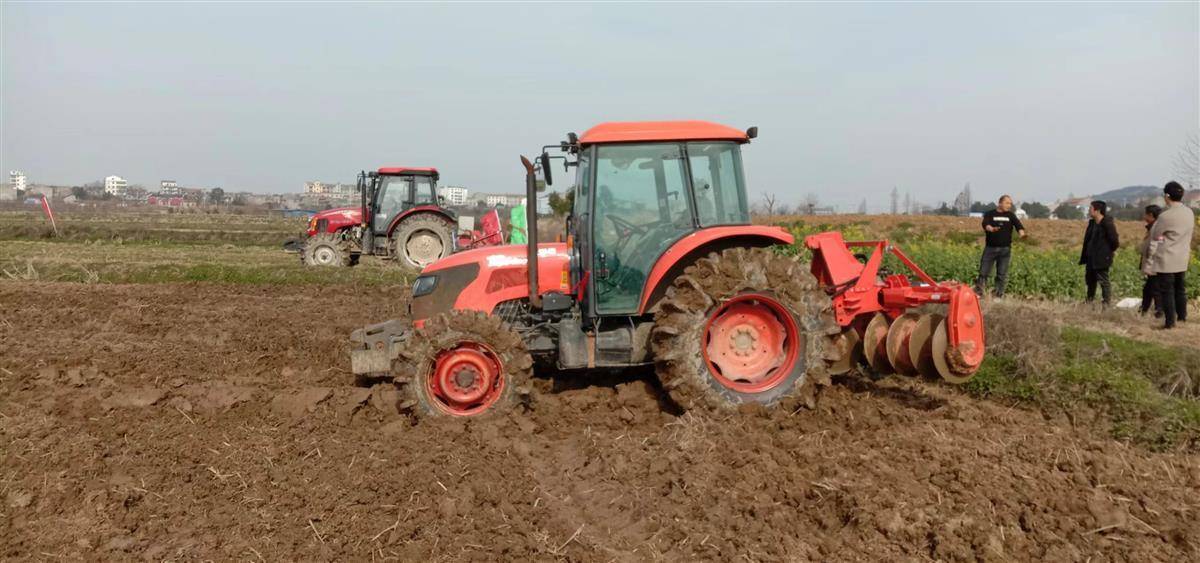 机械毯状育苗 机械高效移栽技术,实现了"水稻 油菜"轮作全程机械化