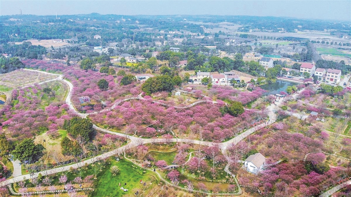 荆山花园图片