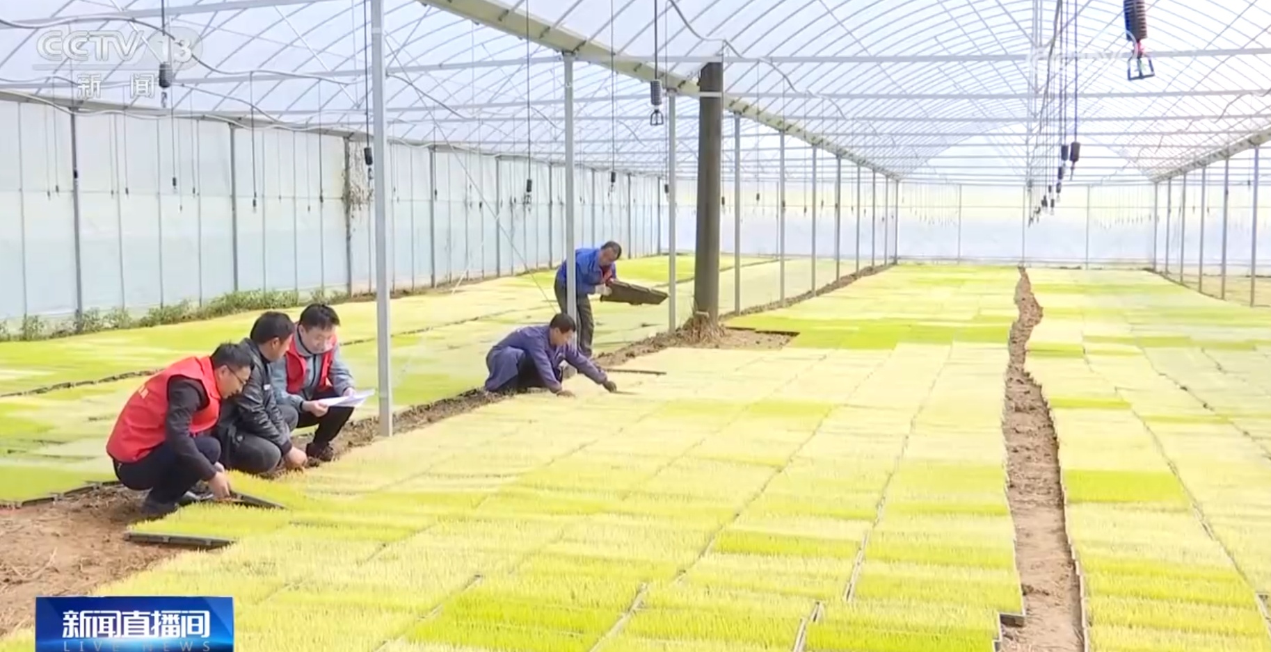 荆楚网>新闻频道>最新播报1827_938