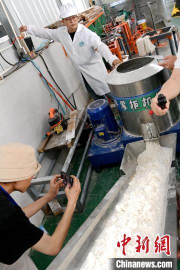 遇见福建灵通山下的村办米粉厂生产忙