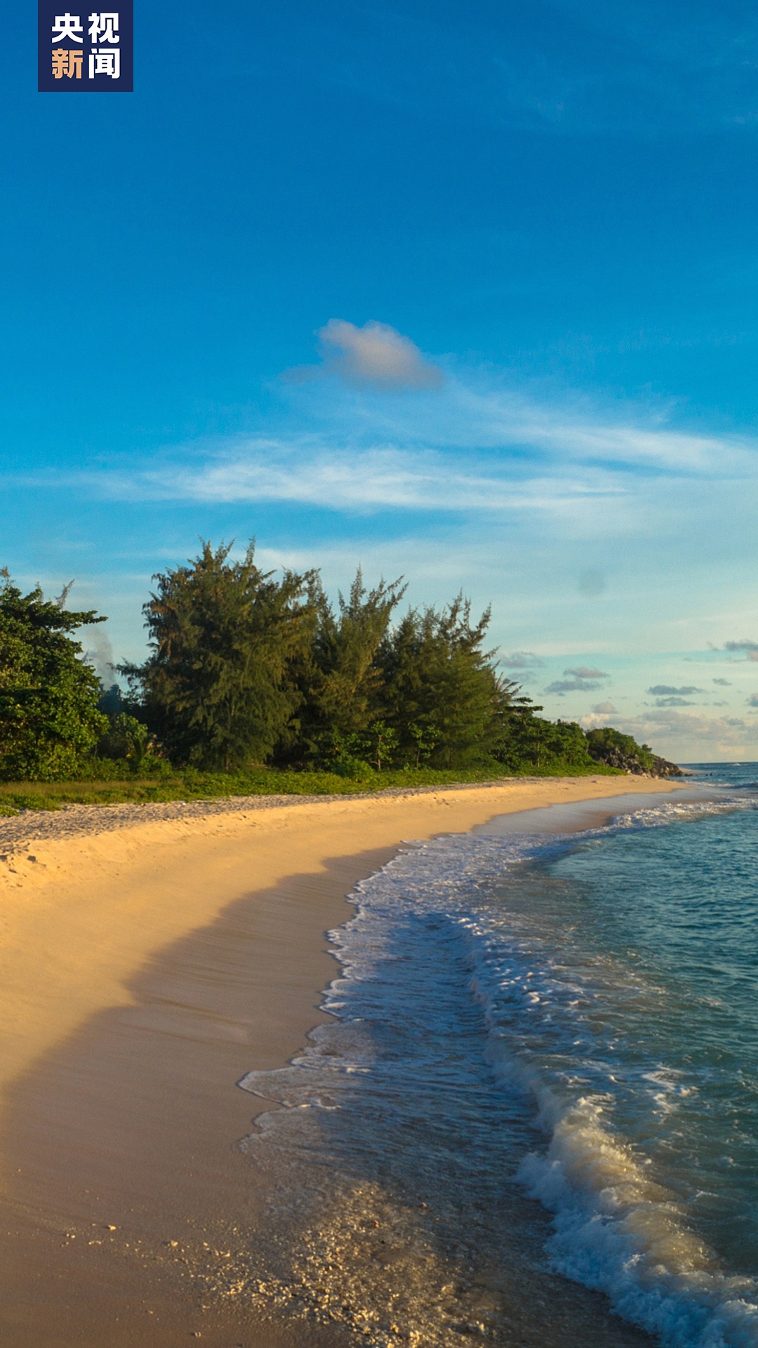 荆楚网>新闻频道>最新播报1080_1920竖版 竖屏