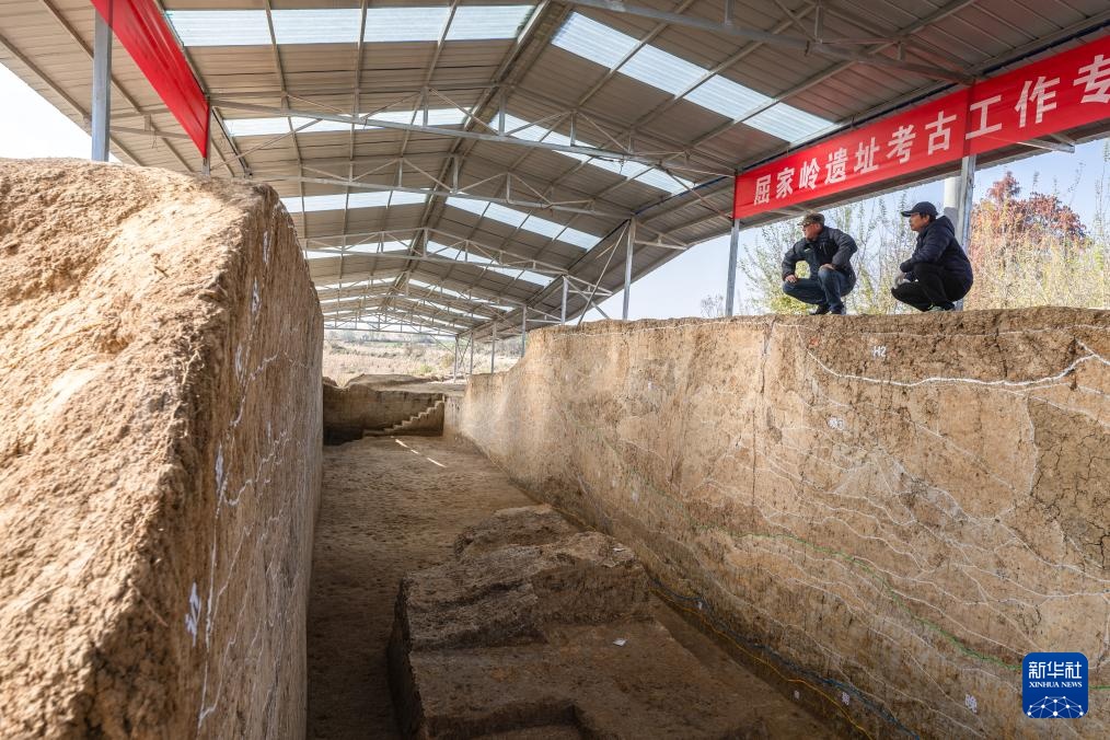 新华全媒丨湖北荆门屈家岭遗址