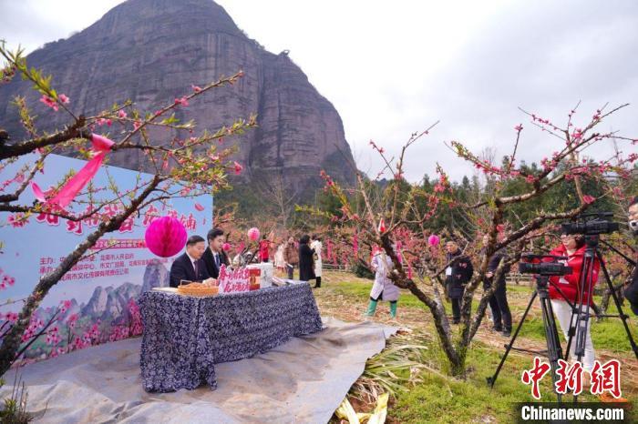 顾山桃花节图片