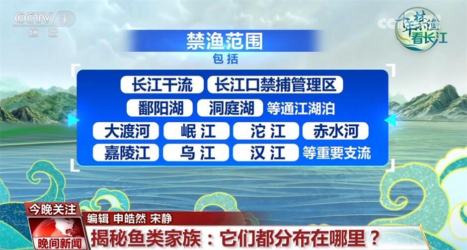 十年禁渔看长江从水域之治转向生态之治长江大保护仍需久久为功