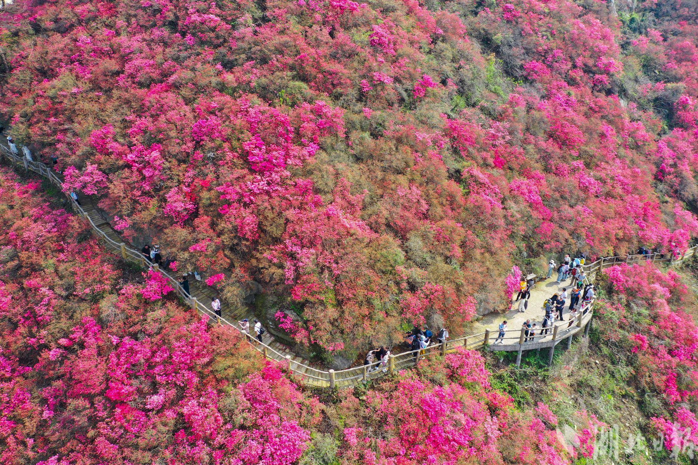 木兰云雾山图片图片