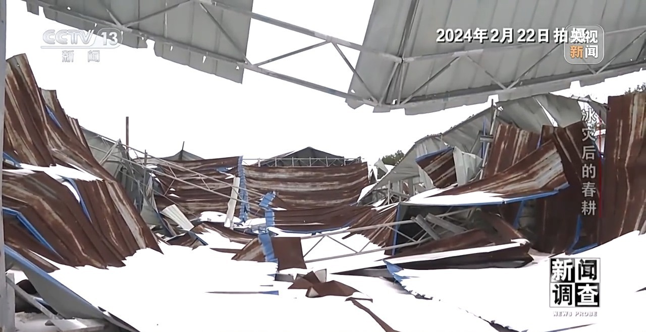 新闻调查丨冰灾之后春耕怎么样了