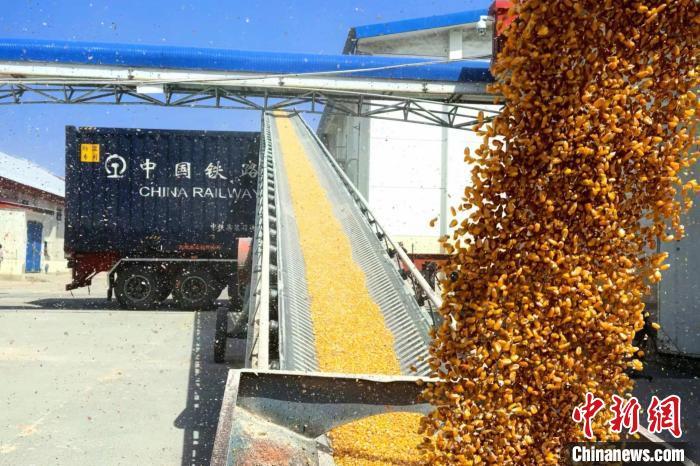 闲置铁路焕发新生太铁推进铁路货运向现代物流转型