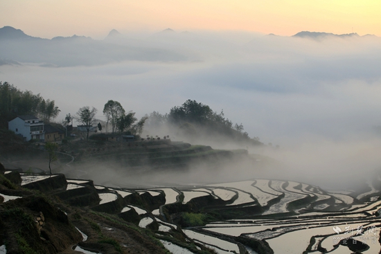 蕲北檀林镇晒出三个春天的故事