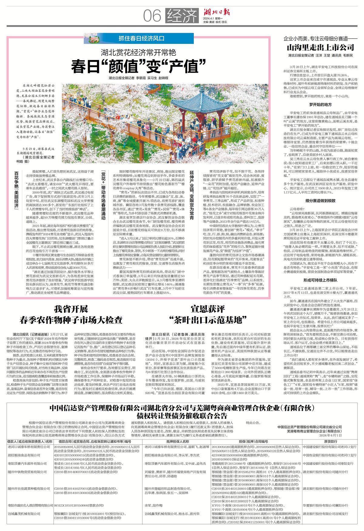 追逐春日经济丨赏花花样翻新春日颜值变产值
